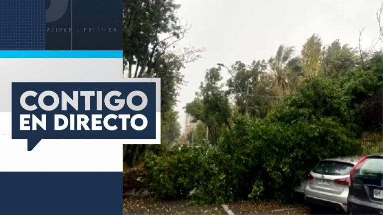 Árbol cayó sobre autos y bloqueó una casa en Las Condes tras fuertes lluvias