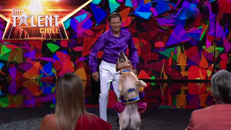 José Fuentes y Carrie G | Adiestrador | Cuartos de final