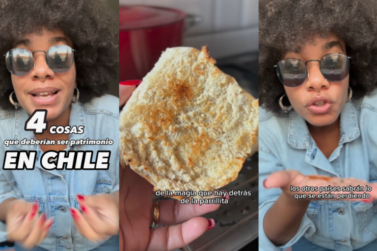 Influencer dominicana detalló 4 cosas que deberían ser patrimonio en Chile y armó debate