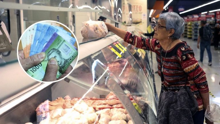 Hasta $214.296: Revisa con tu RUT los bonos que puedes cobrar en mayo