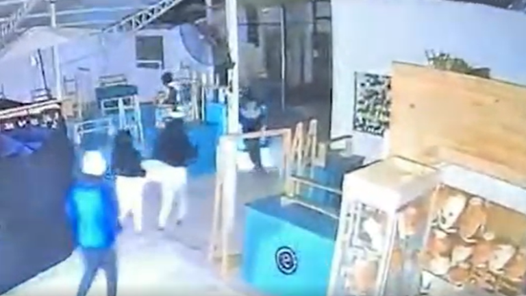 Captan descarado robo en galería de Barrio Italia: Avalúo se estima de $76 millones