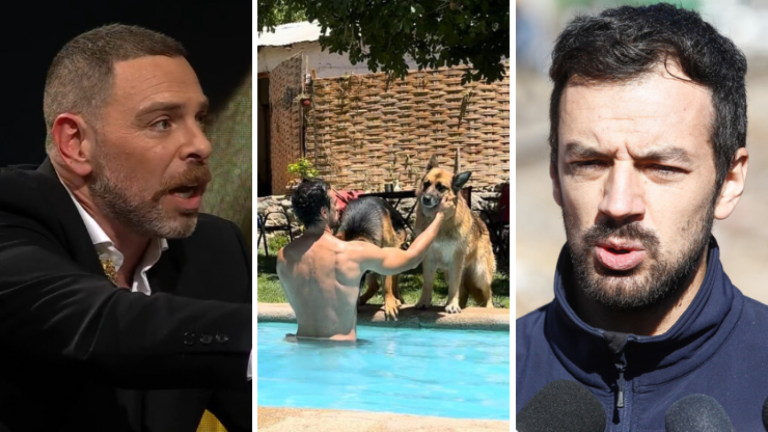 Neme lanzó teoría por muerte de perros de Tomás Vodanovic: 