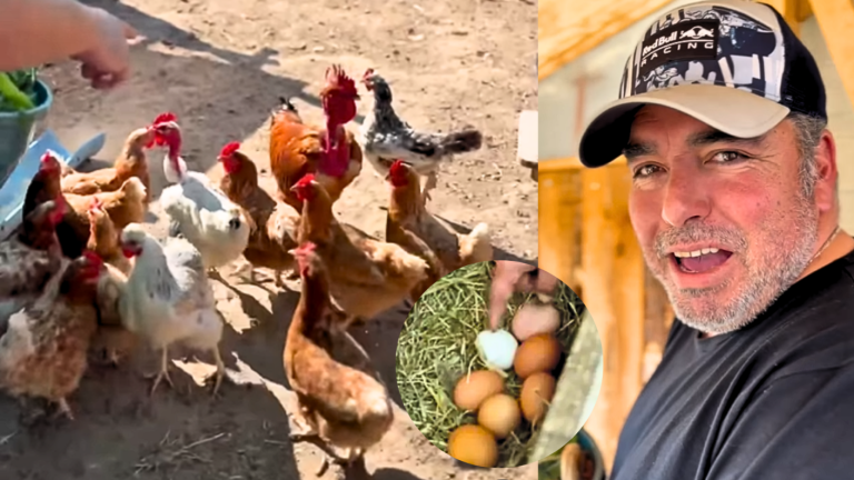 Rodrigo Villegas expuso desconocida y curiosa afición en el campo: 