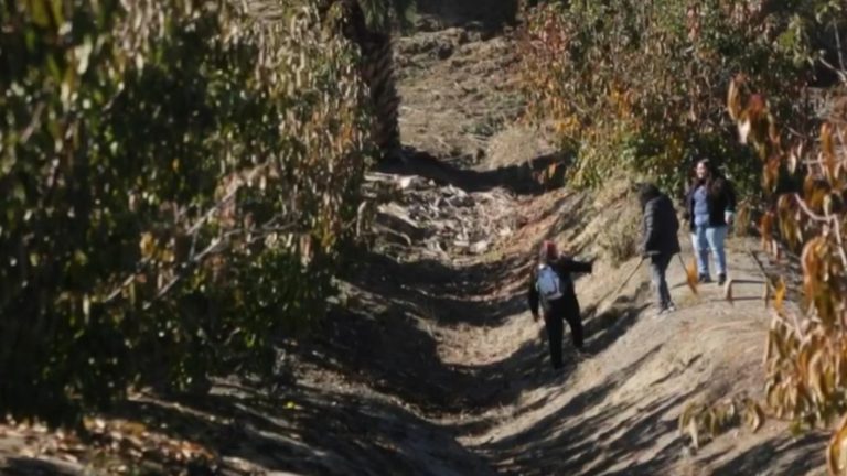 Drenan canal en Limache en busca de adulta mayor que lleva seis días desaparecida