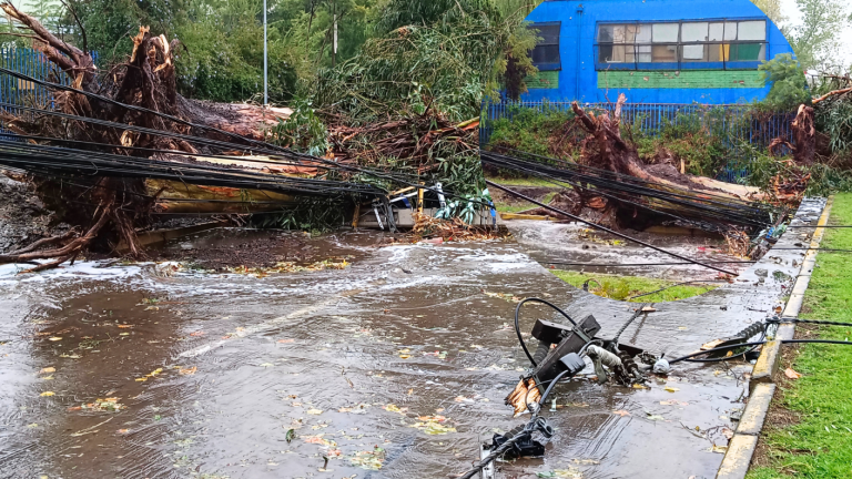 18 mil clientes sin energía en la RM: Enel reportó caída de árboles en tendido eléctrico