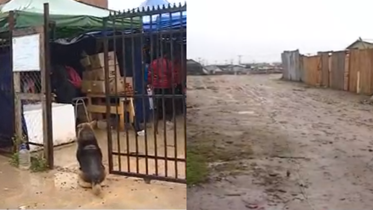 Dramáticas imágenes: Damnificados de Valparaíso afectados por intensa lluvia