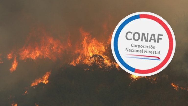 Horas extras: Brigadista de Conaf habría impulsado megaincendio por 