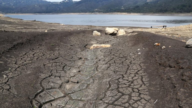 Mejoraron las perspectivas climáticas para Chile y Sudamérica pero se mantienen focos de sequía, según estudio