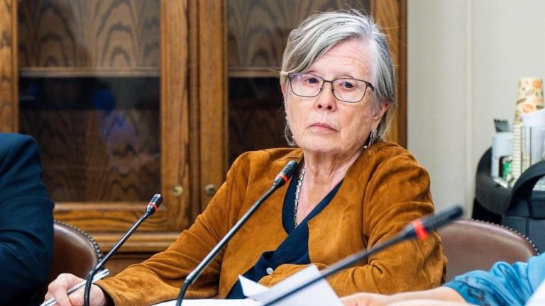Diputada Mercedes Bulnes fue diagnosticada con cáncer: “No es el primer desafío de mi vida”