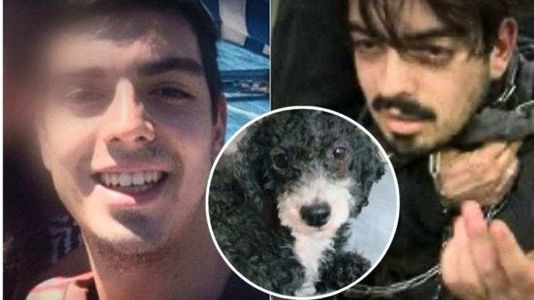 Justicia para Lalito: Sigue prófugo el hombre acusado de lanzar perrito desde piso 12 de edificio