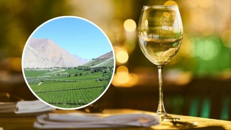 ¿Qué es el pajarete? El licor chileno que abrió particular debate entre el gobierno y el Congreso