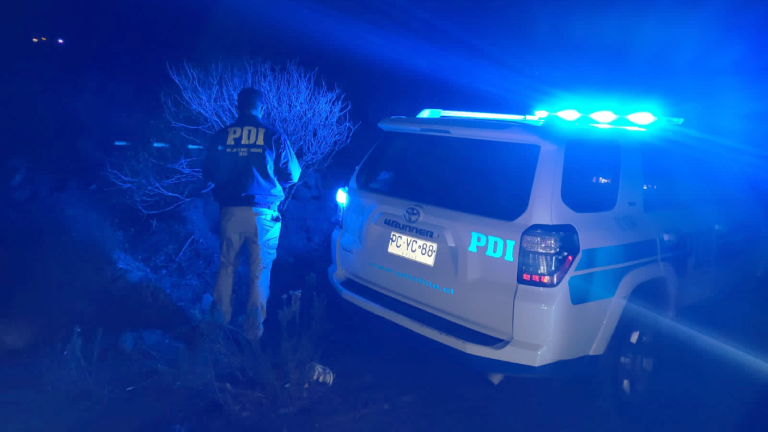 Macabro hallazgo: Desenterraron cráneo humano en Coquimbo