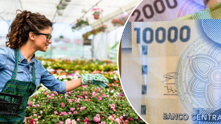 Bono de $42.377 para mujeres trabajadoras se paga en mayo: Revisa cómo obtenerlo