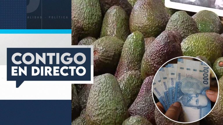 Buenas noticias para el bolsillo: Bajó el precio de las paltas pero subieron las hortalizas