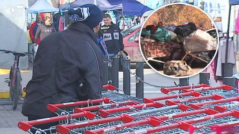 Recuperan más de 160 carros de supermercados robados en Independencia