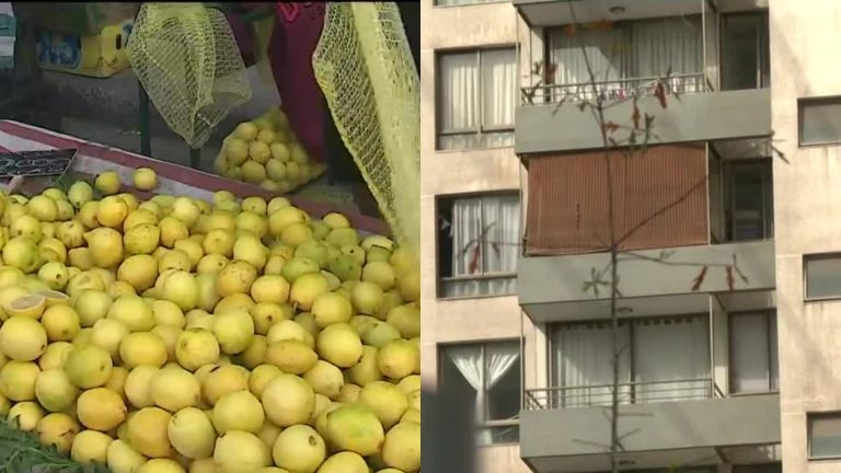 IPC mayo: Gastos comunes y limones registraron significativa baja