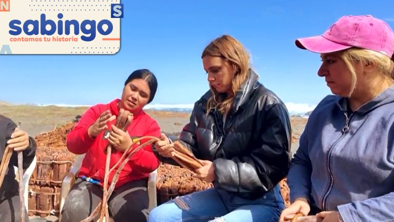 Mujeres de Mar: Emilia Daiber conoció a Gisella Olguín, recolectora y empaquetadora de Cochayuyo