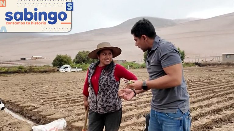 A Orillas del Camino: Juan Pablo Queraltó se aventuró en la ruta que une Arica y Putre