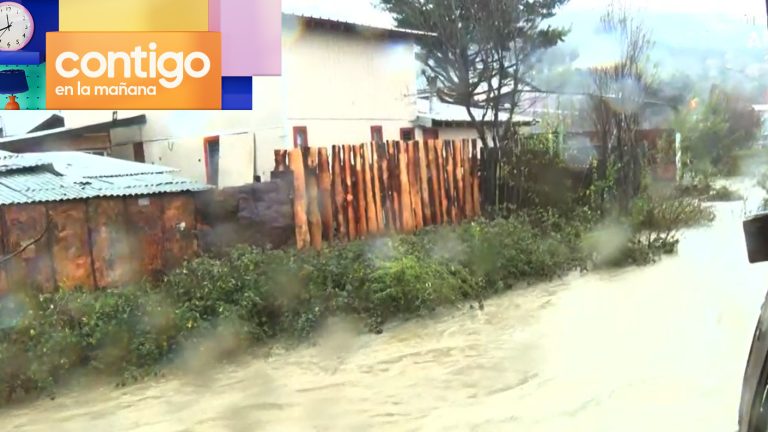 Alarma meteorológica: Crecida del río Ranas amenaza a casas en Curanilahue