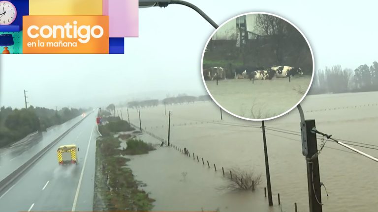Carretera en riesgo de inundación por desborde del río en Carampangue