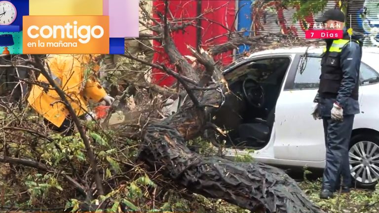 Árbol cayó sobre automóvil en Santiago Centro y dejó dos personas lesionadas