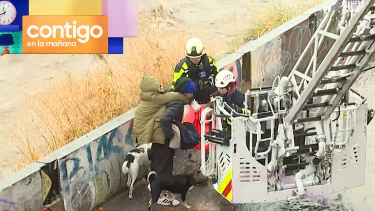 Gran operativo: Bomberos rescató a personas y sus mascotas atrapadas en el río Mapocho