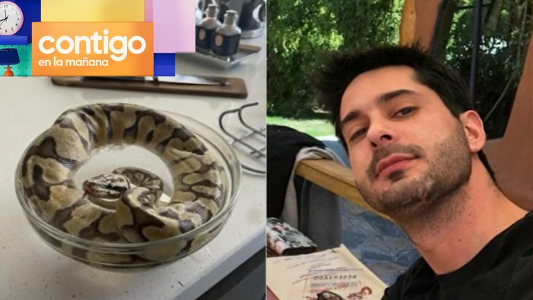 La escalofriante denuncia que recibió chileno acusado de femicidio