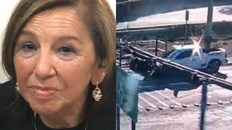 El registro clave de la camioneta en que ocurrió violento forcejeo en el mismo lugar donde desapareció María Elcira