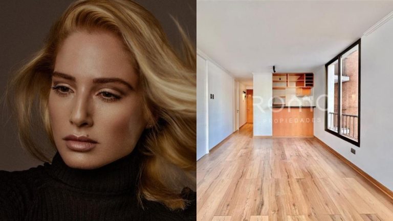 Así es el departamento que Mane Swett puso a la venta en el centro de Santiago