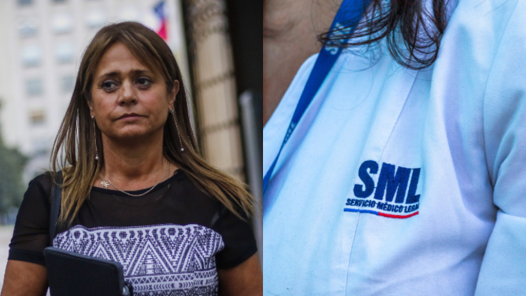 Jacqueline Van Rysselberghe renunció al SML tras cuestionado peritaje en causa por DD.HH.