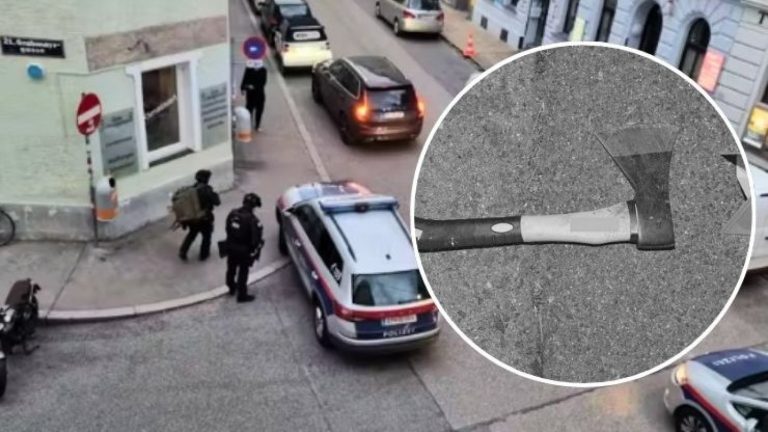 Joven chilena fue asesinada con un hacha en Austria: Compañero vio el ataque por videollamada