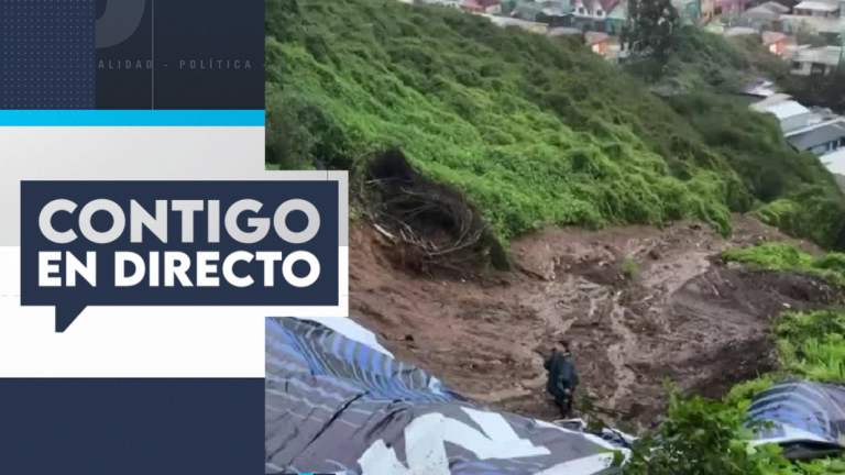 Llaman a evacuar cercanías: Desprendimiento de tierra en cerro de Talcahuano por lluvias