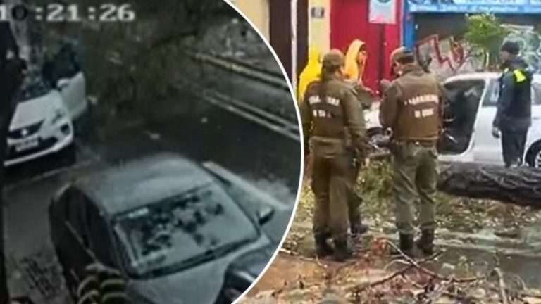 Captan momento exacto de caída de árbol sobre auto en Santiago centro: Golpeó a dos mujeres