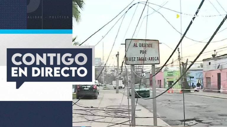 Camión derriba dos postes y deja 15 casas sin luz en Estación Central