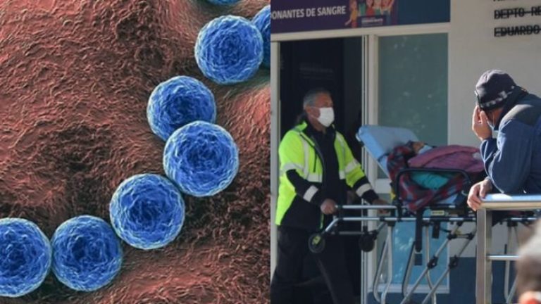 “Bacteria asesina”: Qué es el Streptococcus Pyogenes, sus síntomas y las infecciones graves