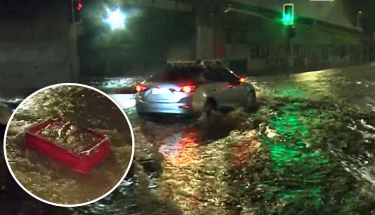 Colapso total en Avenida Lo Ovalle: Maletas y alfombras obstruyen alcantarillas