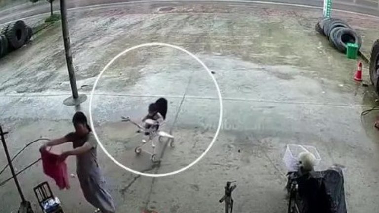 Captan milagrosa salvada de guagua en China: Casi fue atropellada tras descuido de su madre