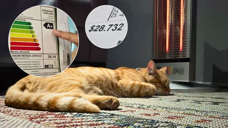 Alza de la electricidad: Así puedes ahorrar en tu cuenta de la luz