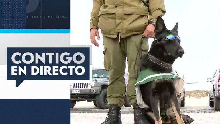 Carabineros monitorea seguridad de visitantes en Farellones: Masiva llegada en vacaciones de invierno