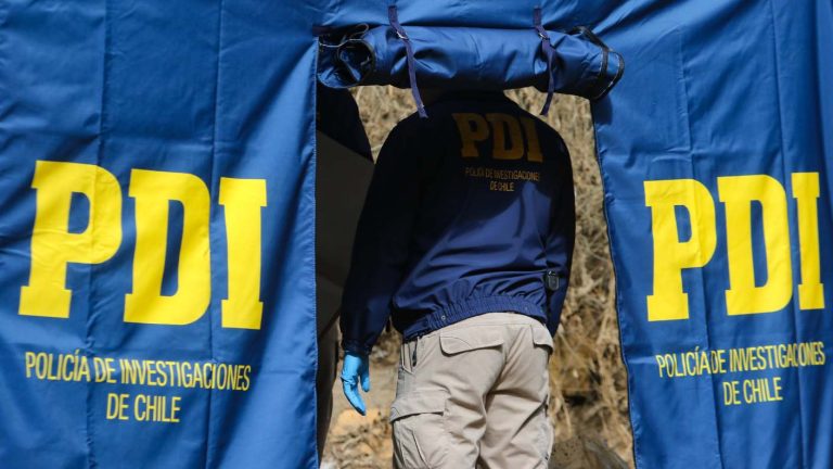 Cráneo humano y el resto del cadáver a 20 metros: PDI encontró documentos de adulta mayor desaparecida