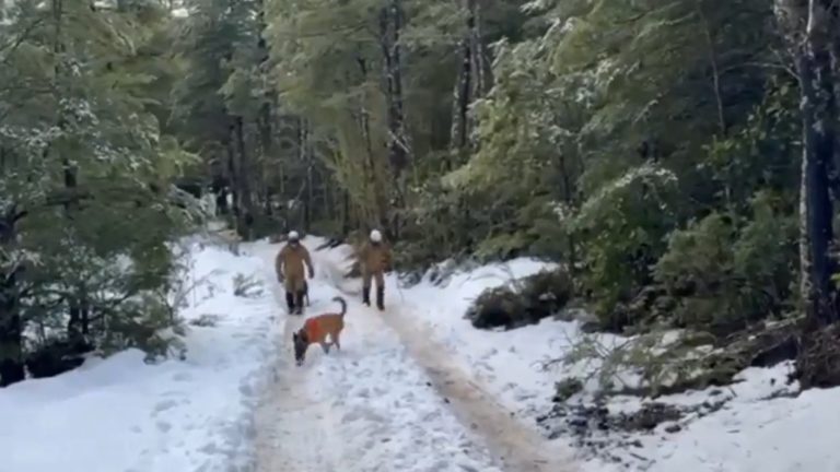 Condiciones climáticas adversas complican búsqueda de hombre extraviado hace 15 días en el Parque Nacional Villarrica