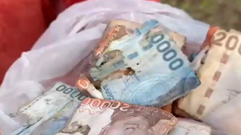 Pareja enterró $3 millones en el patio de su casa y los perdió: Lluvias arruinaron los billetes