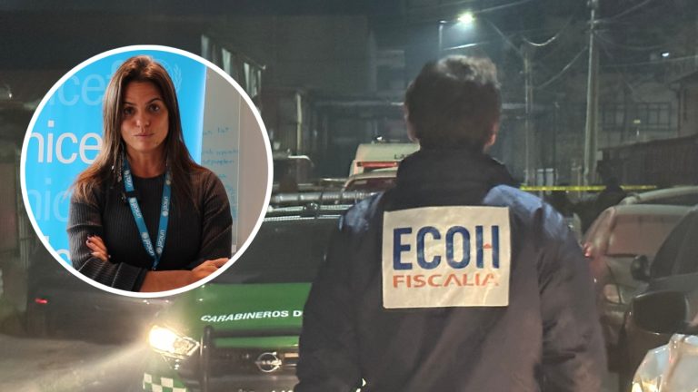 Unicef pidió a Chile adoptar 