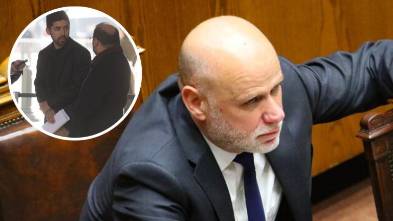 Diputados oficialistas buscan reponer feriado irrenunciable en días de votaciones