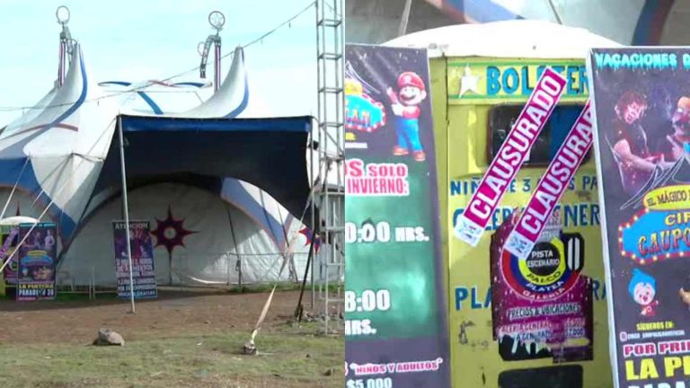 Por “colgarse” de la luz y no cumplir con permisos: Municipalidad clausura circo en La Pintana