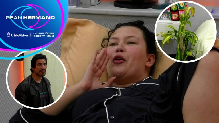 ¡Culpa de la planta! Michelle calificó a Sebastián de “vendido” y “falso” por respaldar a Carlyn