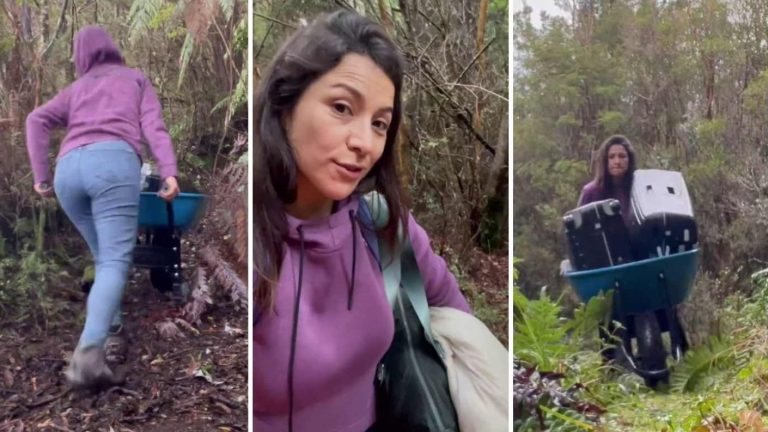 Con dura caída incluida: Loreto Aravena mostró larga “odisea” para llegar a su casa sustentable en Chiloé