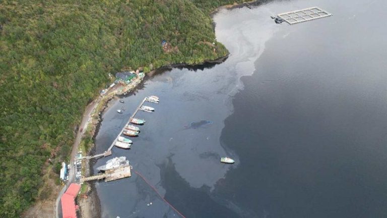 PDI inicia investigación por masivo derrame de petróleo en Puerto Chacabuco