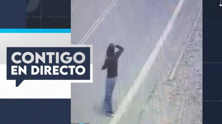 Deambuló en la precordillera: Nuevos antecedentes de joven desaparecida hace 7 meses