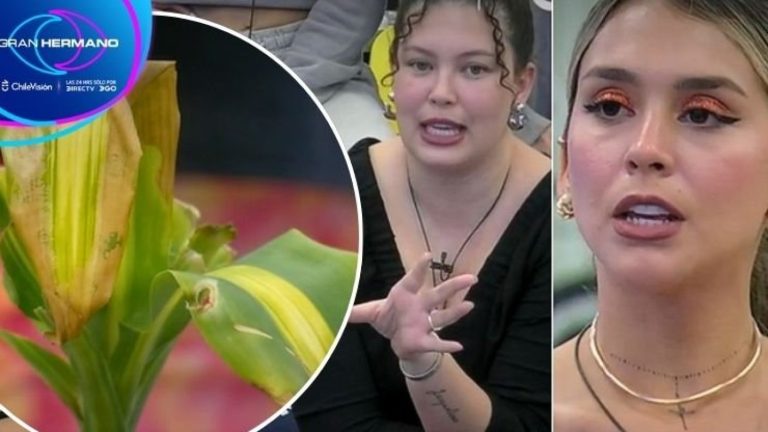 ¡Por una planta! Michelle, Carlyn y Chama tuvieron tenso cara a cara en Gran Hermano